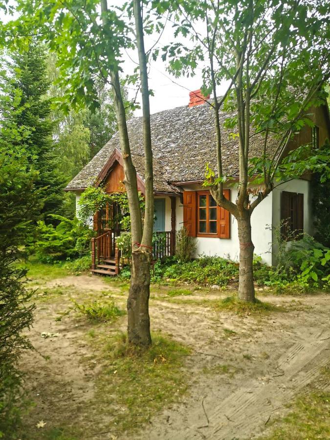 Az Pod Las Zbiczno Kültér fotó